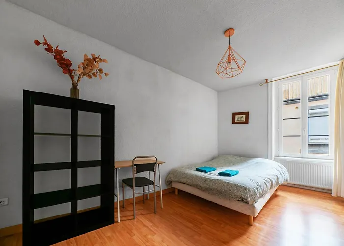 Le Cocon - Coeur De Avec Vue קלרמונט-פרנד